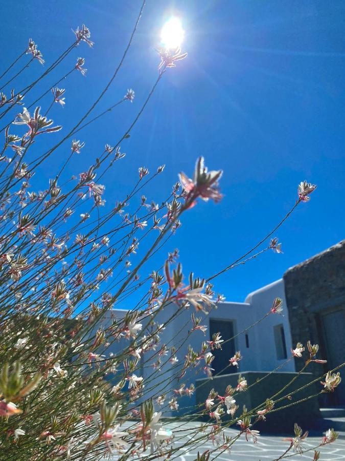 Bed and Breakfast Aegean Hospitality Mykonos Town Exterior foto